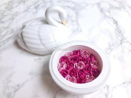 LADUREE、Paul & Joe推出超質感聖誕限定彩妝！「法式浪漫天鵝系列、貓咪香氛組合」精美包裝超燒！