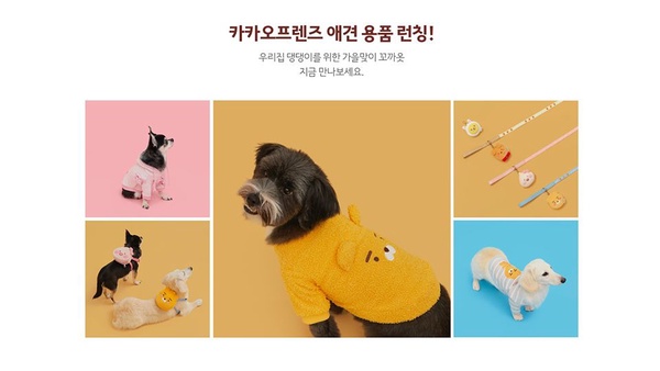 萊恩又出招！Kakao Friends推出寵物用品，衣服、睡墊通通都是萊恩，家中有毛小孩的萊恩教徒必收！