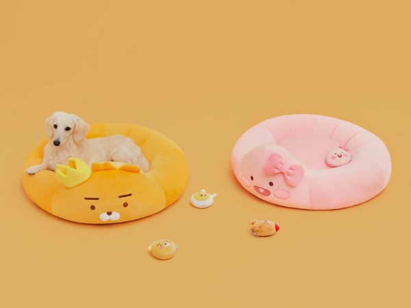 萊恩又出招！Kakao Friends推出寵物用品，衣服、睡墊通通都是萊恩，家中有毛小孩的萊恩教徒必收！
