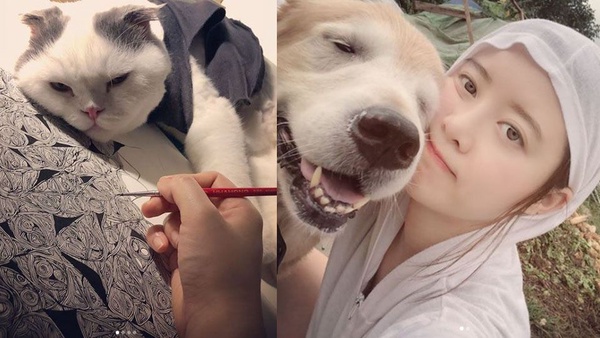 具惠善、安宰賢對話紀錄公開！說老婆壞話、不照顧寵物已澄清，但安宰賢自私、愛玩、媽寶男，這6點還是嫁不得