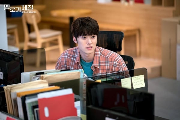 《浪漫的體質》被封2019年神劇！5大主演都是演技派，青龍影后、《1988》正峰，還有金秀賢的女人