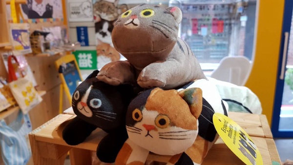 mine mine中山店推出「不可思議的貓世界」主題限定店！台灣初登場的「不可思議的貓世界」，mine mine中山店限時1個月推出～