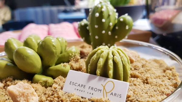 CACTI肉滿堂Ｘ芙芙法式甜點「仙人掌蛋糕」！超萌仙人掌蛋糕，與CACTI肉滿堂裡滿滿的仙人掌，放在一起根本超好拍～
