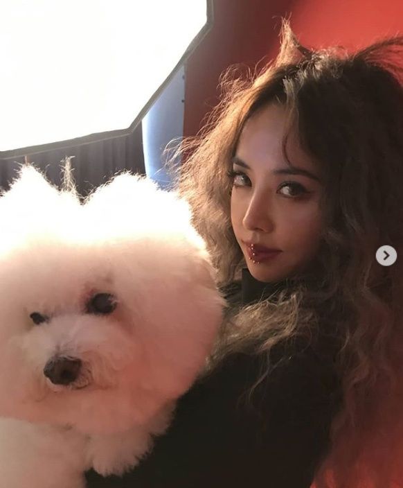 2019秋冬「捲髮」髮型推薦！Blackpink Lisa、吳謹言髮型網友討論度爆表，楊丞琳的捲髮點名率最高！