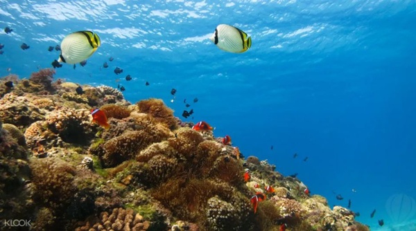 12星座旅遊癖好公開！處女座愛規劃、雙魚座說走就走、射手座最恨聽到「到底要排多久」！