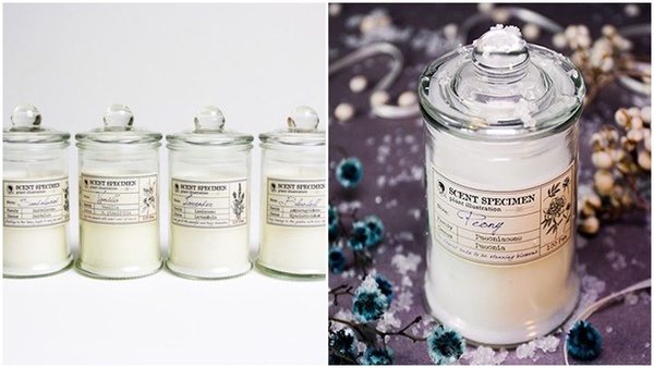 香氛蠟燭「喀什米爾香氣」暖心推薦，Boy Smells、19-69、P.F. CANDLE、Le Pere Pelletier，賽先生科學工廠都好療癒夢幻～