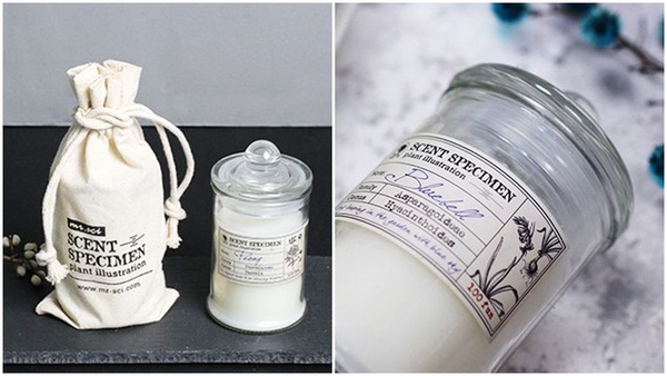 香氛蠟燭「喀什米爾香氣」暖心推薦，Boy Smells、19-69、P.F. CANDLE、Le Pere Pelletier，賽先生科學工廠都好療癒夢幻～