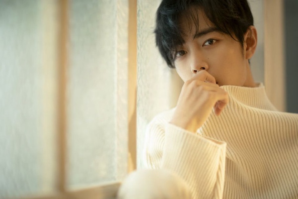 因為一部劇愛上一個人！2019十位爆紅的男星，張彬彬、肖戰、林一誰讓你瘋狂刷他的消息