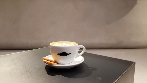 The Platypus Café 鴨嘴獸咖啡在台北！還沒有地標就爆紅的The Platypus Café 鴨嘴獸咖啡，同時也是維也納長板品牌全球首家概念店～