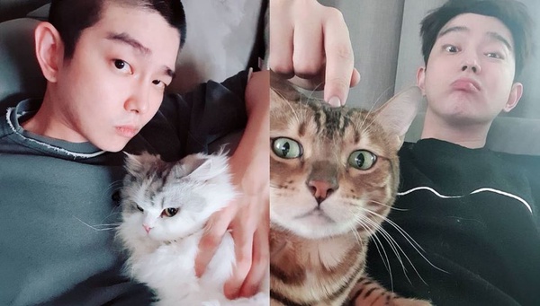 帥哥都抵擋不了喵星人魅力！7位韓星貓奴，金明洙&俞承豪因貓變朋友，孔劉只要貓陪就夠了