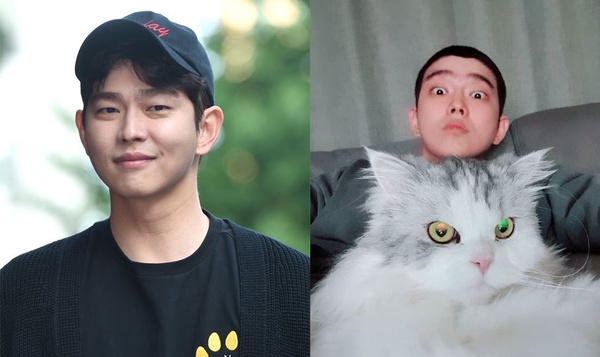 帥哥都抵擋不了喵星人魅力！7位韓星貓奴，金明洙&俞承豪因貓變朋友，孔劉只要貓陪就夠了