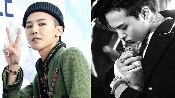 帥哥都抵擋不了喵星人魅力！7位韓星貓奴，金明洙&俞承豪因貓變朋友，孔劉只要貓陪就夠了