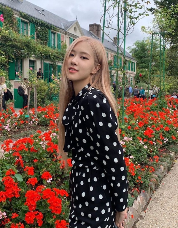 2019女星「秋冬髮色」圖鑑！LISA髮色點名率超高、Jessica、李聖經棕髮色顯白又顯嫩，秀智根本仙女下凡！