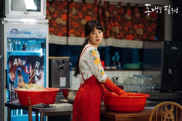 《山茶花開時》殺貓兇手揭開，謎團反而更多！9大最新謎團，盧圭泰、小木偶好神祕，龍植何時要去英心家？