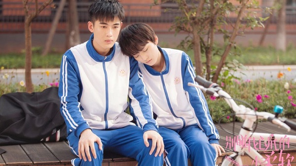 熱播網劇播放量排行榜TOP 9！張彬彬新劇第六，第一、二名成2019必追甜寵劇