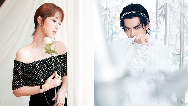 網曝楊紫、吳亦凡主演《簪中錄》！？2020年十部未播先火的小說改編古裝劇，每一部都是預定爆款