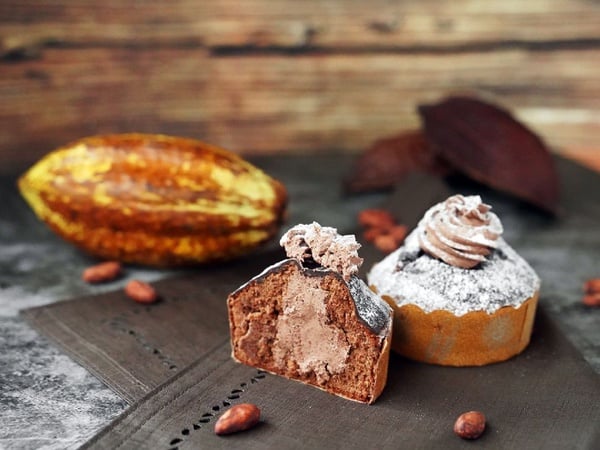 Mister Donut X 世界巧克力冠軍打造「Chocolate Collection」可可系列甜甜圈，可可碎粒波堤、可可火山黃金圈共六款通通都想嚐！