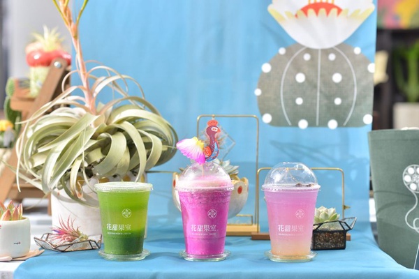 有肉 Succulent & Gift「有肉 IN 花」！台北超美的仙人掌打卡牆，喜歡多肉植物的一定要來有肉打卡～
