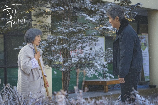 《山茶花開時》冬柏媽和殺人魔嗆聲！7部韓劇感人母愛，《請回答1988》德善媽流血仍護著小孩，無私到戳心！