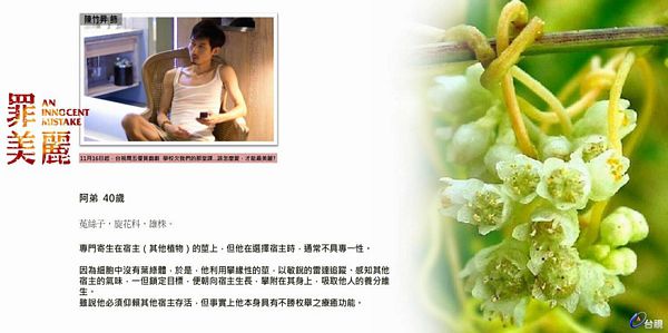 ［留言贈獎］罪美麗－學校沒教的事．．．讓我們一起勇敢愛！