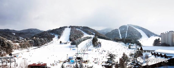 韓國滑雪渡假村推薦！鬼怪、藍色生死戀都在這取景，不會滑也要去