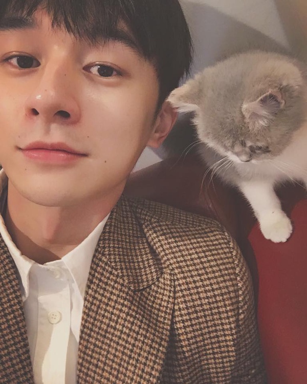 犬系男星是他們！張軒睿、姜丹尼爾無辜狗狗臉，看了就想養