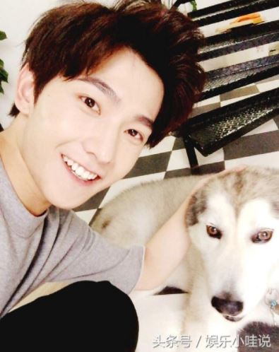 犬系男星是他們！張軒睿、姜丹尼爾無辜狗狗臉，看了就想養