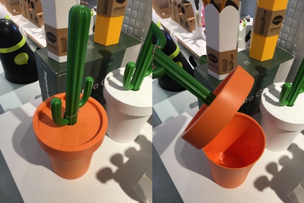永遠的仙人掌🌵i+Deal Lab引進療癒系收納—泰國設計品牌Qualy