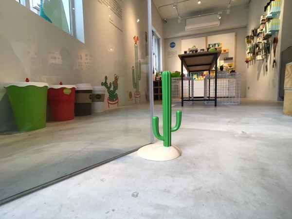 永遠的仙人掌🌵i+Deal Lab引進療癒系收納—泰國設計品牌Qualy