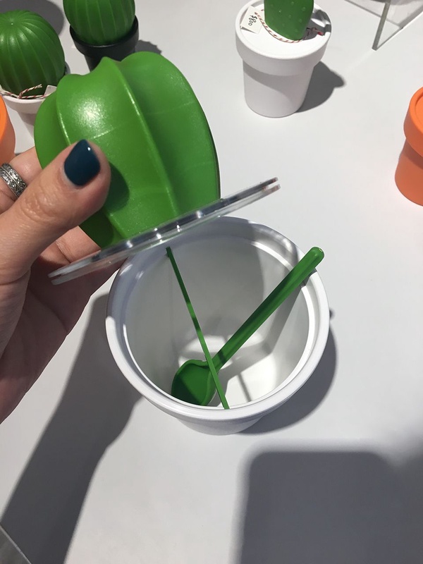 永遠的仙人掌🌵i+Deal Lab引進療癒系收納—泰國設計品牌Qualy