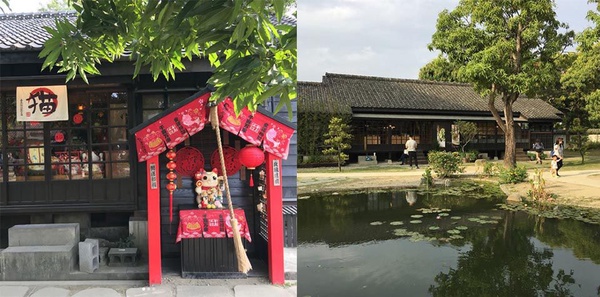 嘉義不只可以賞花燈！這些超美的IG打卡景點千萬別錯過