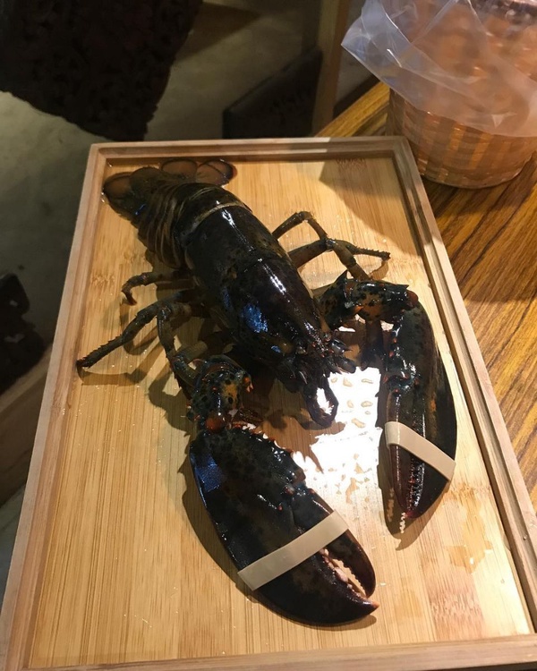 你可能沒吃過但網友大好評！泰式、南洋、日式3家特色鍋物推薦！