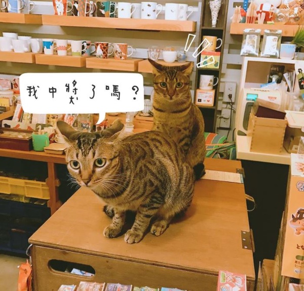 創意文具選品店推薦！質感不輸niko and...文具控一定要去朝聖