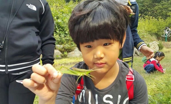 《超人回來了》書言、書俊確定下車！更新那些曾療癒過我們的寶貝近況