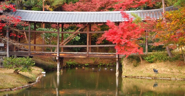 京都超美特色星巴克！暖簾、榻榻米、還有鴨川風景任你賞～