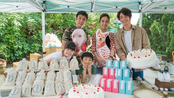 楊丞琳、劉以豪都有新作即將回歸！2018不能錯過的精采台劇盤點