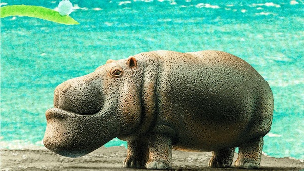 戽斗星球第4彈登場！休眠動物園也來了，動物們都矇眼睛超可愛