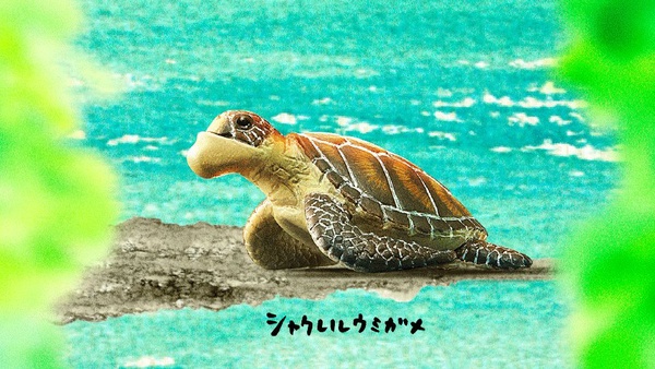 戽斗星球第4彈登場！休眠動物園也來了，動物們都矇眼睛超可愛