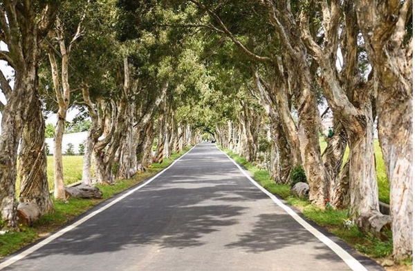 全台絕美「單車步道」推薦，景色美的像電影！這些秘境沒看過會後悔