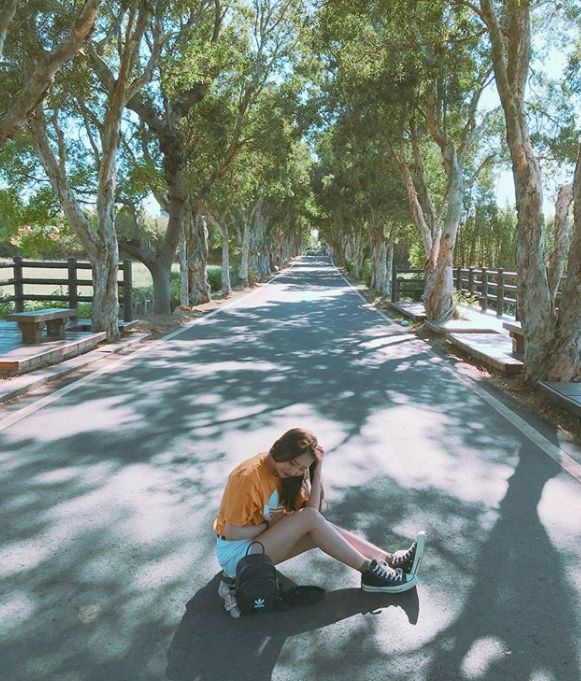 全台絕美「單車步道」推薦，景色美的像電影！這些秘境沒看過會後悔