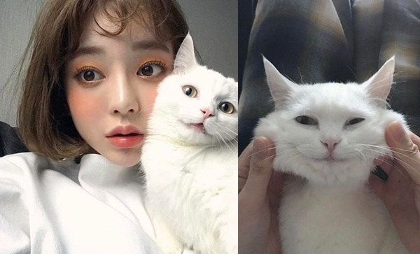 韓國妹子們的時尚指標강태리！迷人關鍵香水味：「比起甜香，我更愛能『男女共用』的！」
