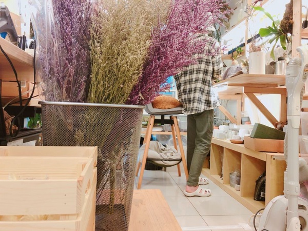 歡迎到「參樓參貓」，享受貓咪和植物帶來的療癒享受！永生花、多肉植栽自己做最有心～