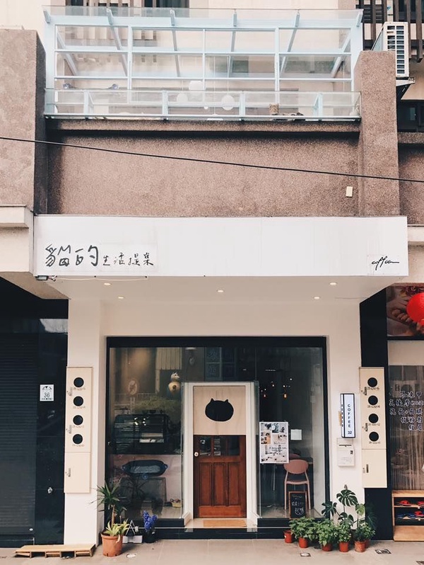 和可愛貓咪們共進懶洋洋下午茶，「貓的生活提案」給你萌翻天的體驗！