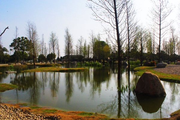 雲林必玩推薦！「台版兼六園」免費入場、還有IG洗版彩虹步道