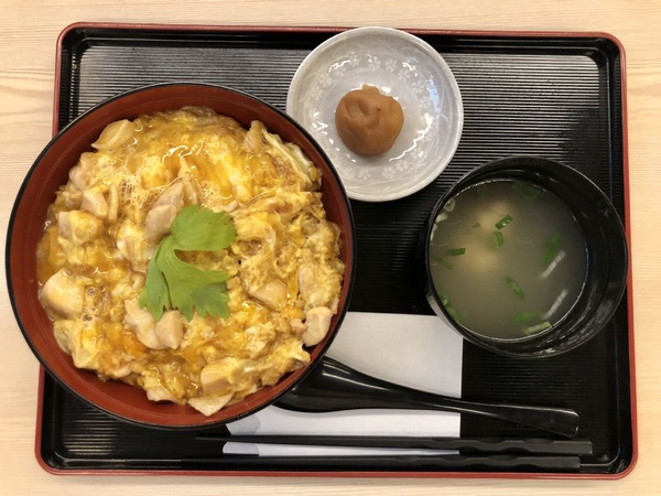 「雞三和」名古屋老店霸氣登台，超滑嫩的親子丼你一定要親口嚐