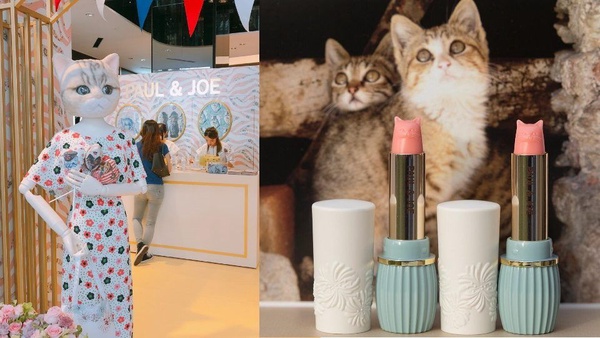 Albion結束代理將撤櫃！未完待續品牌粉絲別擔心，還有Etude House、Paul & Joe也都重新回歸