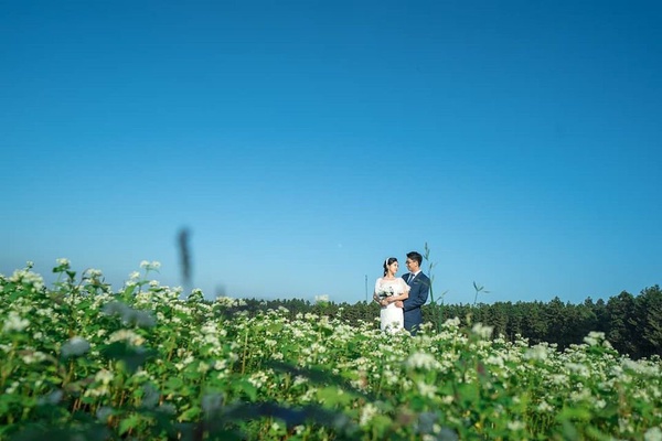 2018濟州島夏日花季開始啦！來杯咖啡搭配浪漫花海，賞花景點不藏私推薦！