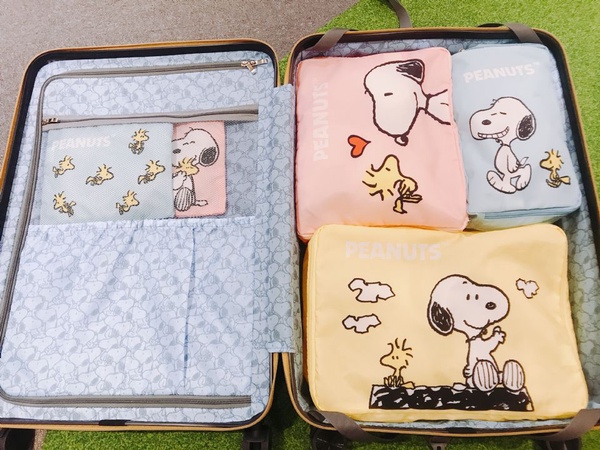 康是美「SNOOPY加價購」開跑！11款超實用商品，詳細兌換資訊