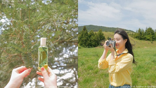 來自濟州島的香味！Innisfree 升級版「居室純粹香頌」，美到把濟州島風景搬回家