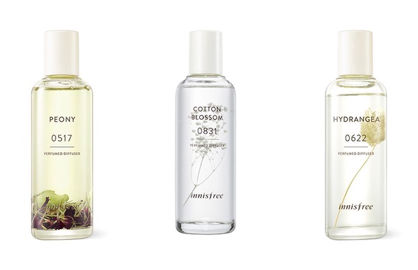 來自濟州島的香味！Innisfree 升級版「居室純粹香頌」，美到把濟州島風景搬回家